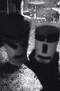 Kiwiwoe Knz was tagged in his own photo.