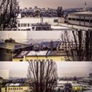 Kiwiwoe Knz at Barrandov Studios.